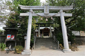 写真: 鳩ヶ谷総鎮守氷川神社の鳥居